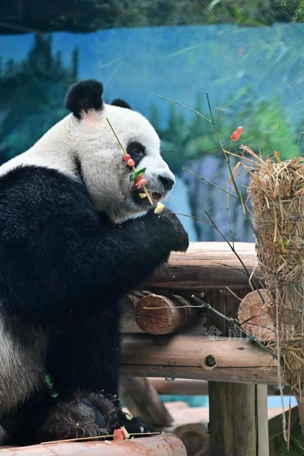 明浜蜀琳已在“豪宅”愉快撸串！开馆时间定在→