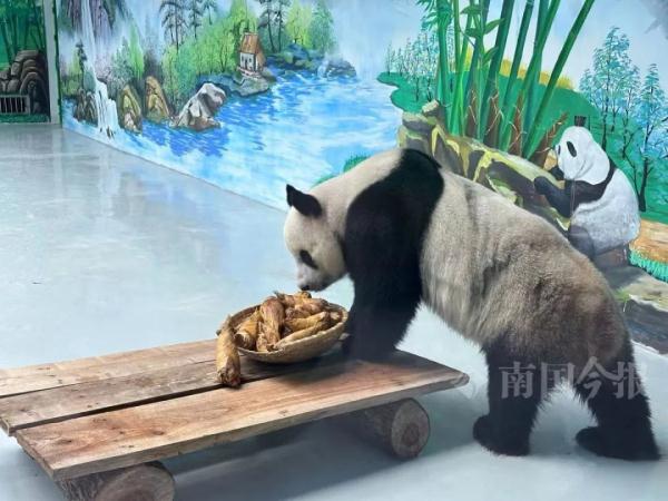 明浜蜀琳已在“豪宅”愉快撸串！开馆时间定在→