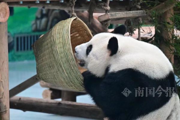 明浜蜀琳已在“豪宅”愉快撸串！开馆时间定在→