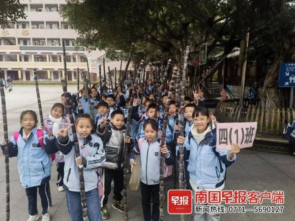 甘蔗、猪肉、鲈鱼……南宁这些学校的散学礼“仪式感”拉满→