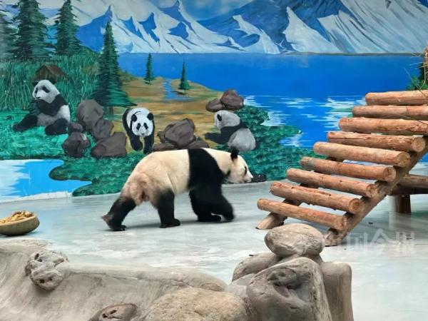 明浜蜀琳已在“豪宅”愉快撸串！开馆时间定在→