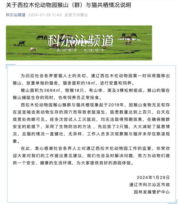 又一动物园猴山有猫,官方说明→ 又一动物园猴山有猫,官方说明→