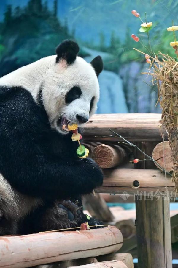 明浜蜀琳已在“豪宅”愉快撸串！开馆时间定在→