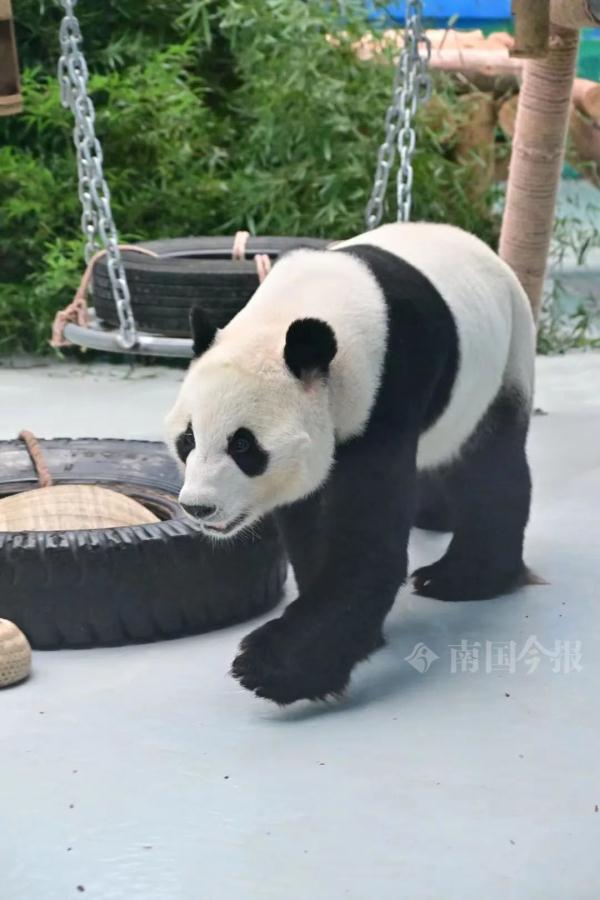 明浜蜀琳已在“豪宅”愉快撸串！开馆时间定在→