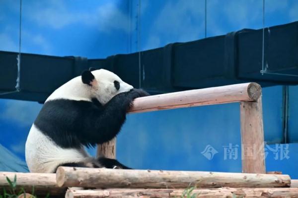 明浜蜀琳已在“豪宅”愉快撸串！开馆时间定在→