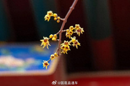 民俗教授称寡妇年说法是陋习迷信