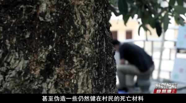 “连死人的钱也敢拿去花！”他们还使出这种损招......细节披露→