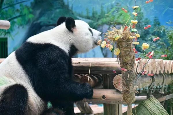 明浜蜀琳已在“豪宅”愉快撸串！开馆时间定在→