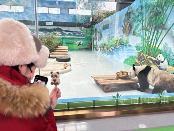 明浜蜀琳已在“豪宅”愉快撸串！开馆时间定在→