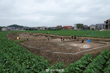 长沙宁乡发现战国遗址 长沙宁乡发现战国遗址