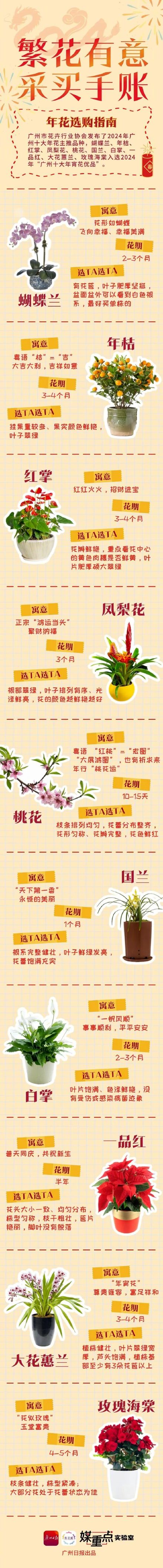 老广们的最爱涨价了！今年限定款“网红”是……
