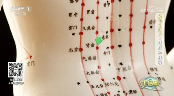 @久坐的你，揉一揉+捶一捶，强腰健肾还能提高免疫力
