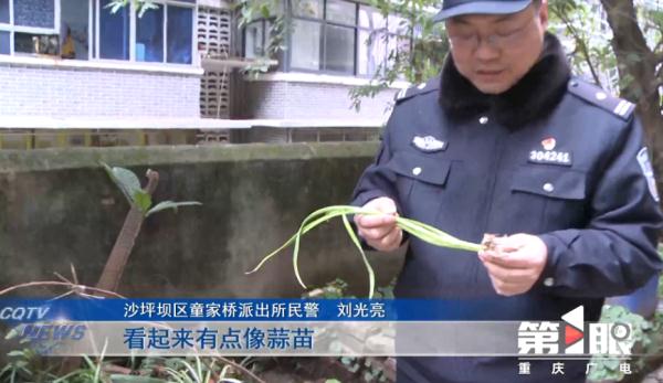 吃了顿蒜苗炒回锅肉,重庆夫妻双双中毒!祸首竟是它 吃了顿蒜苗炒回锅肉,重庆夫妻双双中毒!祸首竟是它