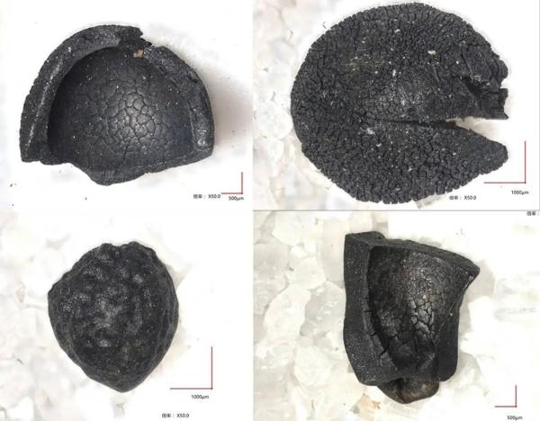 资阳濛溪河遗址入选2023年中国六大考古新发现!揭秘四川远古人类生活→ 资阳濛溪河遗址入选2023年中国六大考古新发现!揭秘四川远古人类生活→
