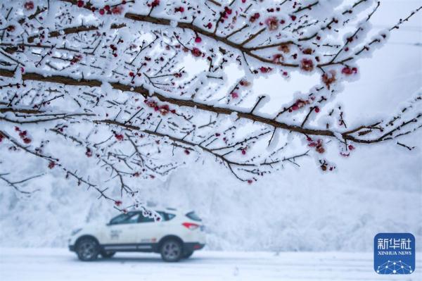 贵州六盘水:雪后宛如水墨画 贵州六盘水:雪后宛如水墨画