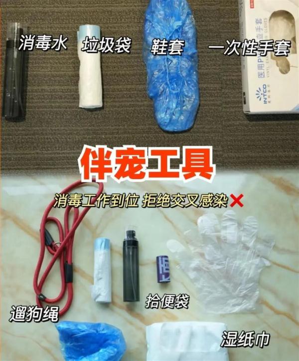 上门喂宠爆火，有人兼职就能月入过万？铲屎官约吗