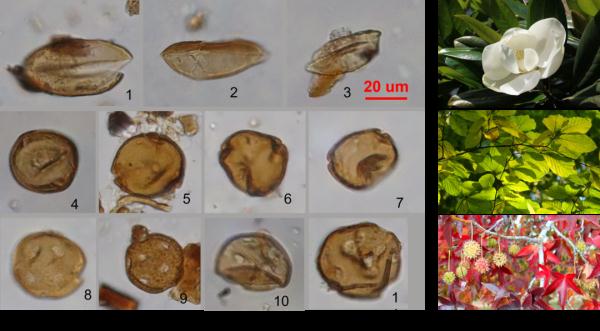 资阳濛溪河遗址入选2023年中国六大考古新发现!揭秘四川远古人类生活→ 资阳濛溪河遗址入选2023年中国六大考古新发现!揭秘四川远古人类生活→