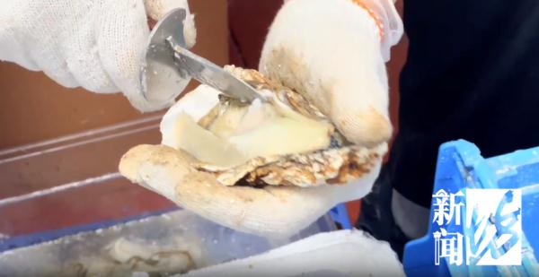 大排长龙的上海知名连锁餐厅吃出虫子，还不止一条！最新回应