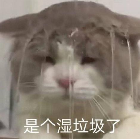 它可能要来!接下来几天福州人请关紧门窗! 它可能要来!接下来几天福州人请关紧门窗!