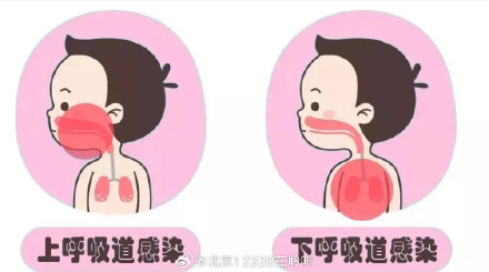 上呼吸道感染和下呼吸道感染分别好发什么疾病？