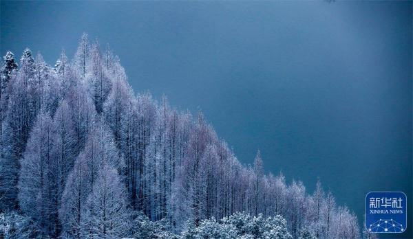 贵州六盘水:雪后宛如水墨画 贵州六盘水:雪后宛如水墨画