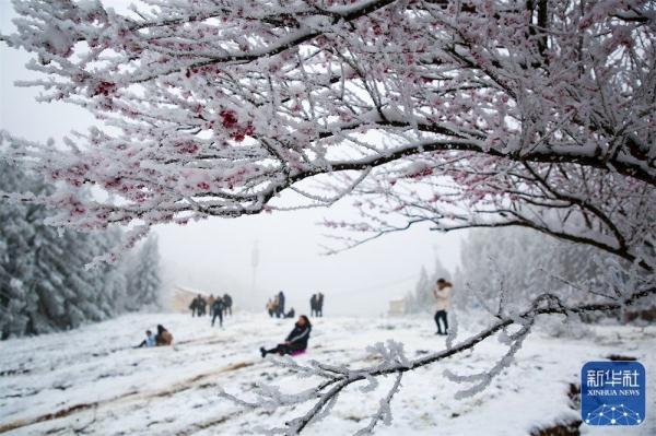 贵州六盘水:雪后宛如水墨画 贵州六盘水:雪后宛如水墨画