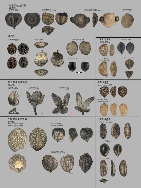 资阳濛溪河遗址入选2023年中国六大考古新发现!揭秘四川远古人类生活→ 资阳濛溪河遗址入选2023年中国六大考古新发现!揭秘四川远古人类生活→
