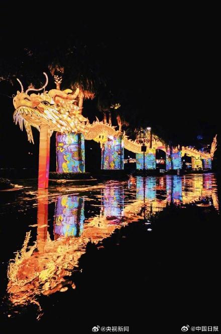 年味气氛组上线！今年春节你家乡的龙出没了吗