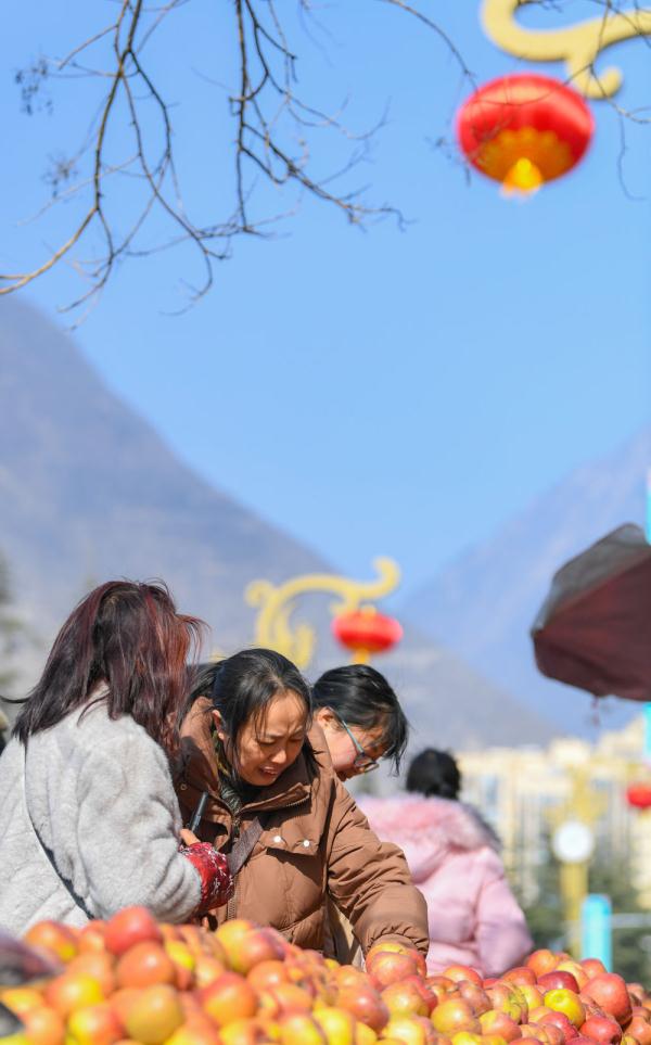 新华全媒+丨川青铁路带火新“高原三宝” 新华全媒+丨川青铁路带火新“高原三宝”