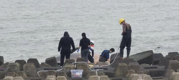 汕头东海岸出现一头死亡须鲸，专家：大概率不会出现“鲸爆”