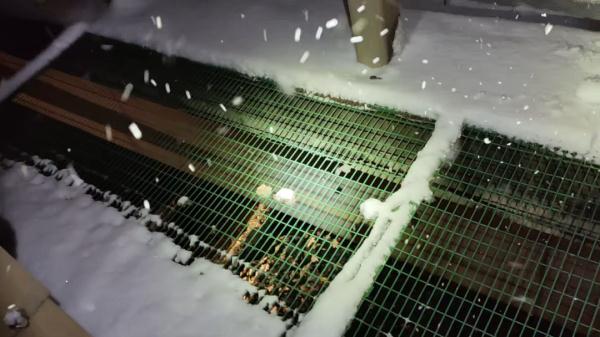 高速堵车“休息下”，一家四口坠下10米高桥