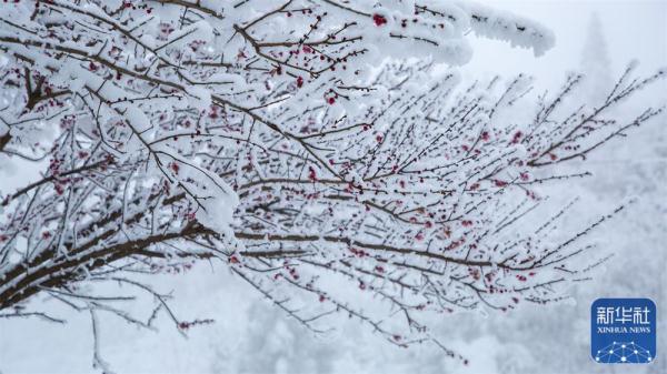 贵州六盘水:雪后宛如水墨画 贵州六盘水:雪后宛如水墨画