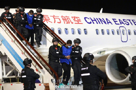 3组数据看我国打击电诈犯罪成效