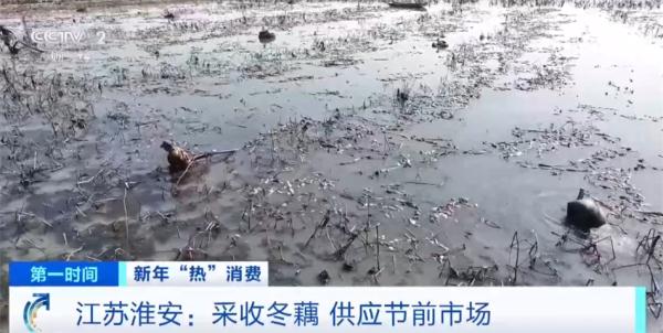 “舌尖上的年味”充盈满满幸福感 各地欢欢喜喜迎新年
