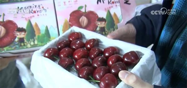 “舌尖上的年味”充盈满满幸福感 各地欢欢喜喜迎新年