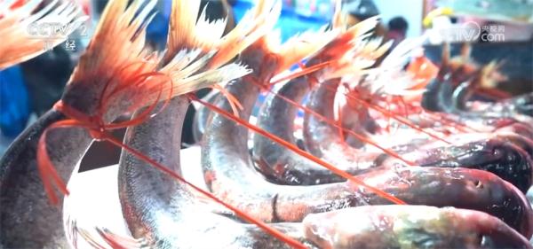 传统文化“点亮”新春消费 年货市场货足价稳、购销两旺