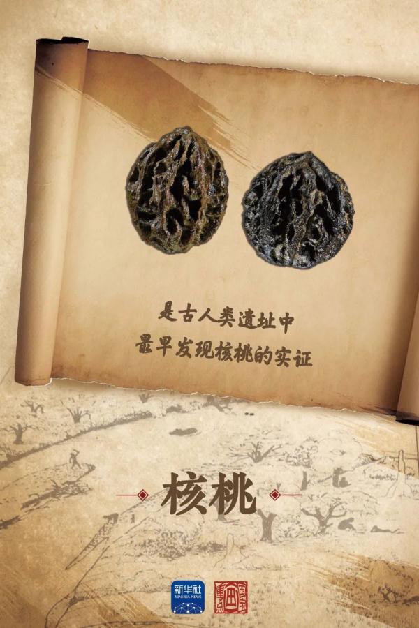 令人兴奋！这里发现了数万年前祖先的生活痕迹
