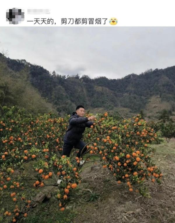 “朋友约打高尔夫”，第一批回家过年的年轻人正在……
