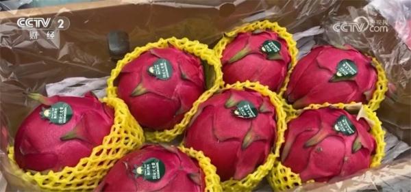 传统文化“点亮”新春消费 年货市场货足价稳、购销两旺