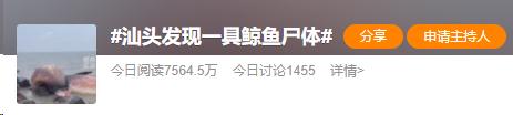 汕头海边出现一头死亡鲸鱼，会出现“鲸爆”吗？最新消息