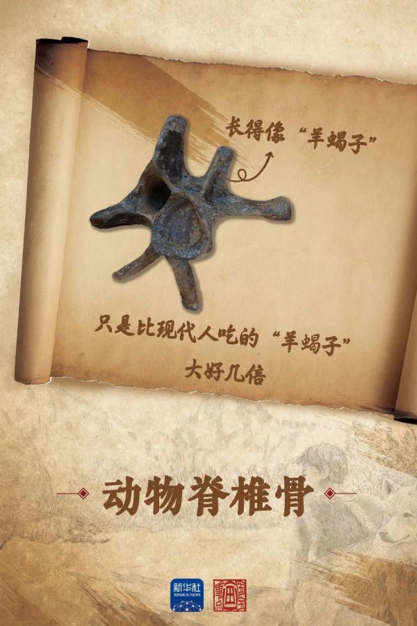 令人兴奋！这里发现了数万年前祖先的生活痕迹