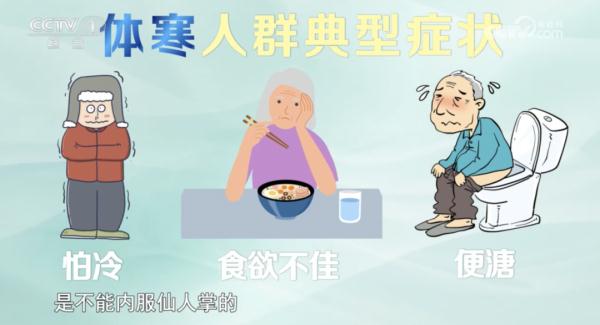 万万没想到，阳台上不起眼的它，竟能解毒消肿、养胃护胃