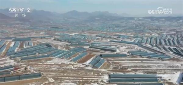 “舌尖上的年味”充盈满满幸福感 各地欢欢喜喜迎新年