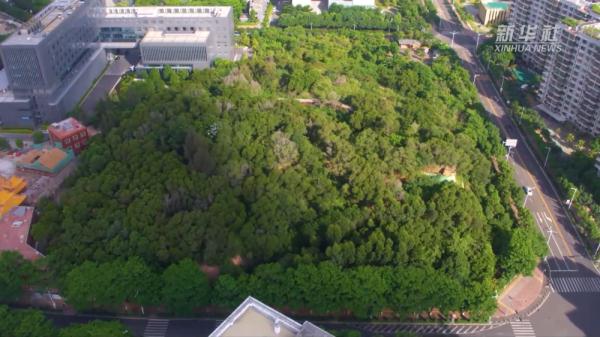 “中国最美小鸟”在厦门筑巢安家