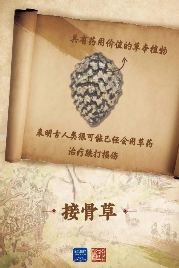令人兴奋！这里发现了数万年前祖先的生活痕迹