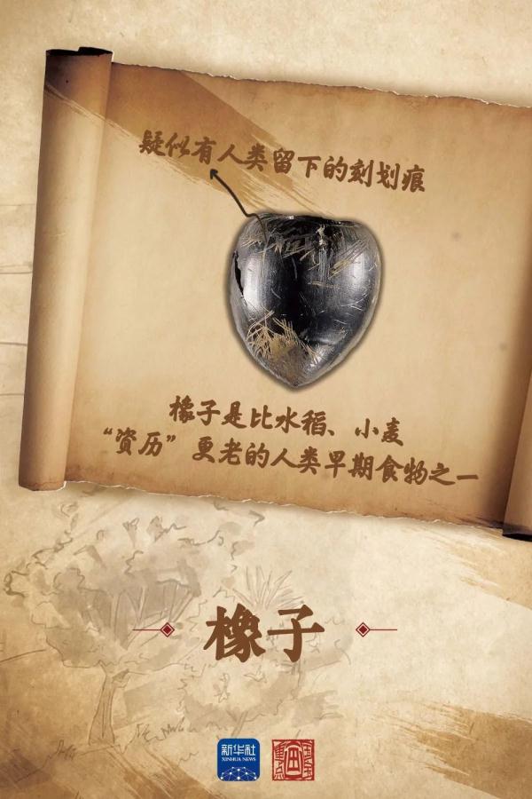 令人兴奋！这里发现了数万年前祖先的生活痕迹