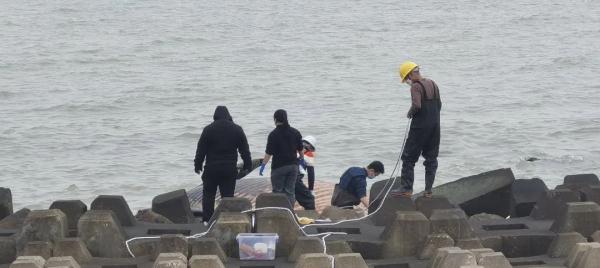 汕头海边出现一头死亡鲸鱼，会出现“鲸爆”吗？最新消息