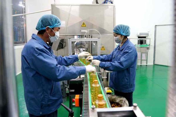 河北巨鹿:小花生大产业 河北巨鹿:小花生大产业