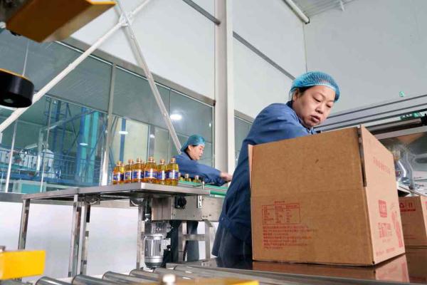 河北巨鹿:小花生大产业 河北巨鹿:小花生大产业