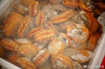 逛集市、捕海鱼、吃年夜饭 南澳东渔集市开市了